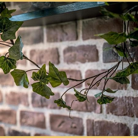 Appartement T3 I Cozy I Douvaine Ngoại thất bức ảnh