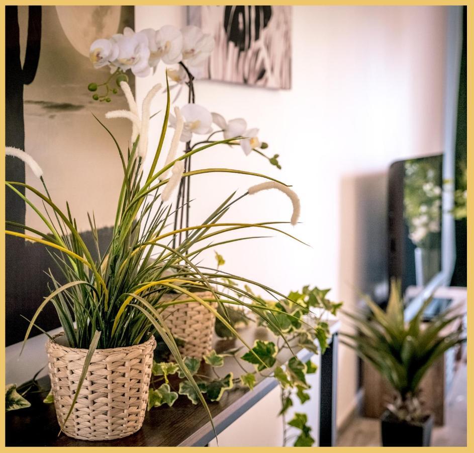 Appartement T3 I Cozy I Douvaine Ngoại thất bức ảnh